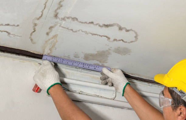 Reliable Water Damage contractor in Racine, OH by Water Damage Irwin